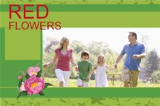 家族 photo templates 赤い花